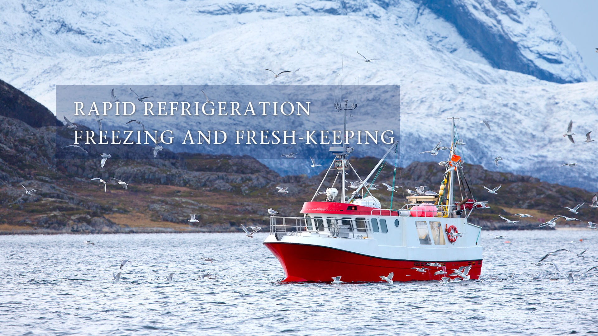 Ice making, refrigerating and preserving
