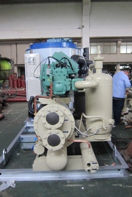Our company undertook a project for Yong*chemical 